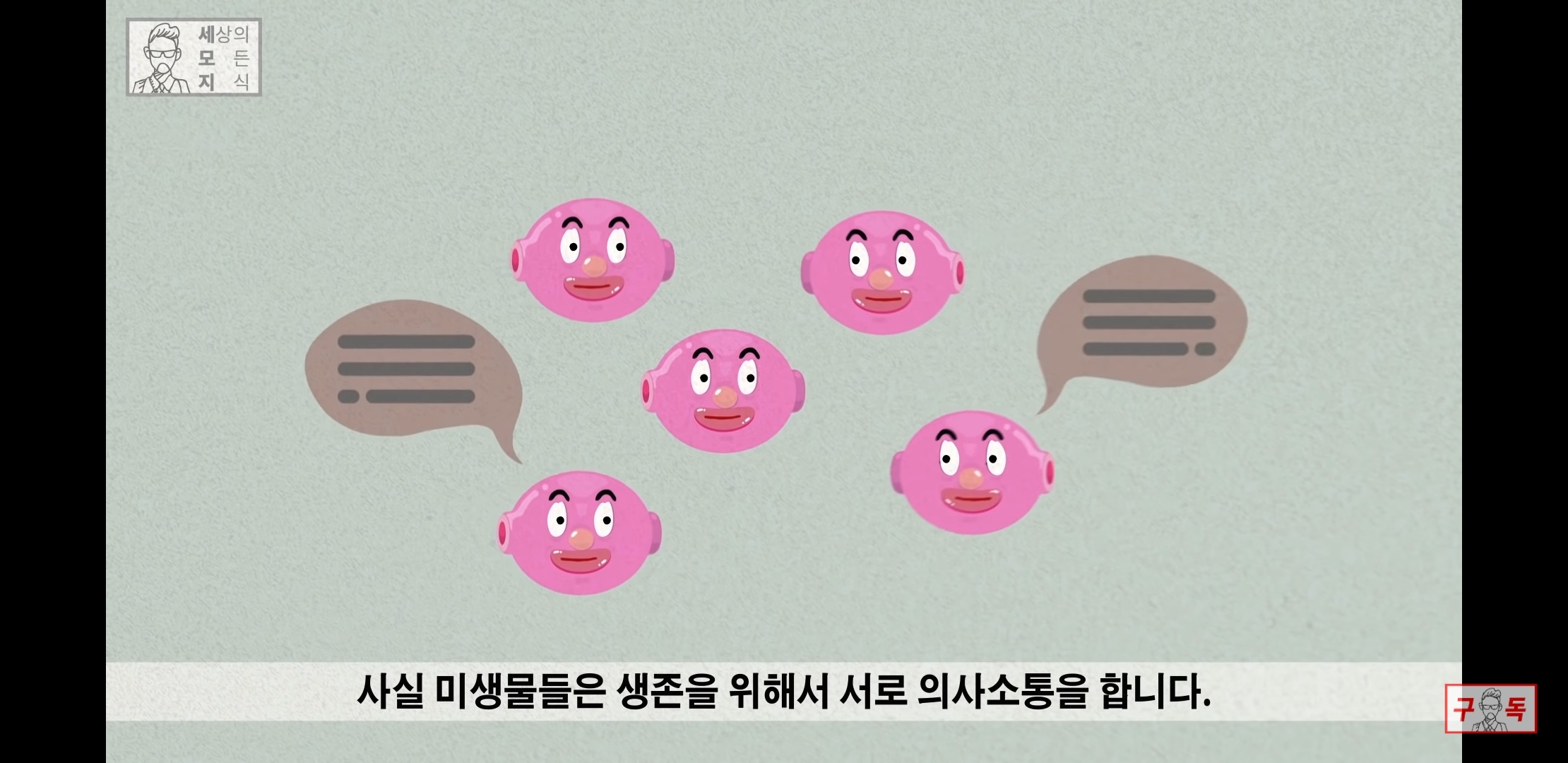 칸디다균의 원리 😠😡🤬 | 인스티즈