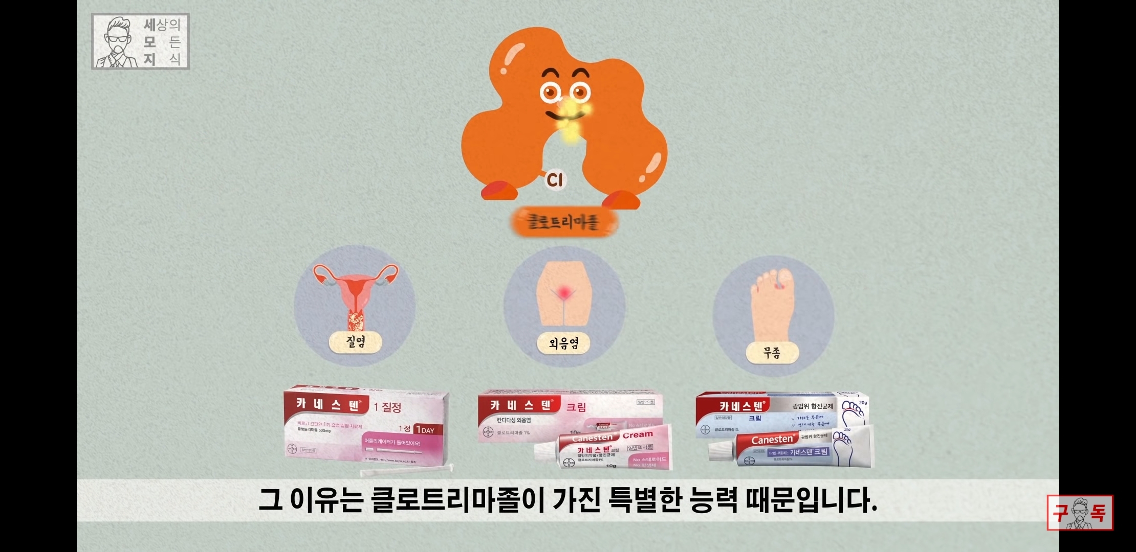칸디다균의 원리 😠😡🤬 | 인스티즈