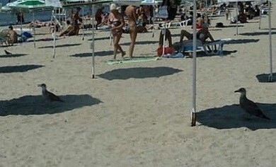 개나 고양이나 사람이나... | 인스티즈