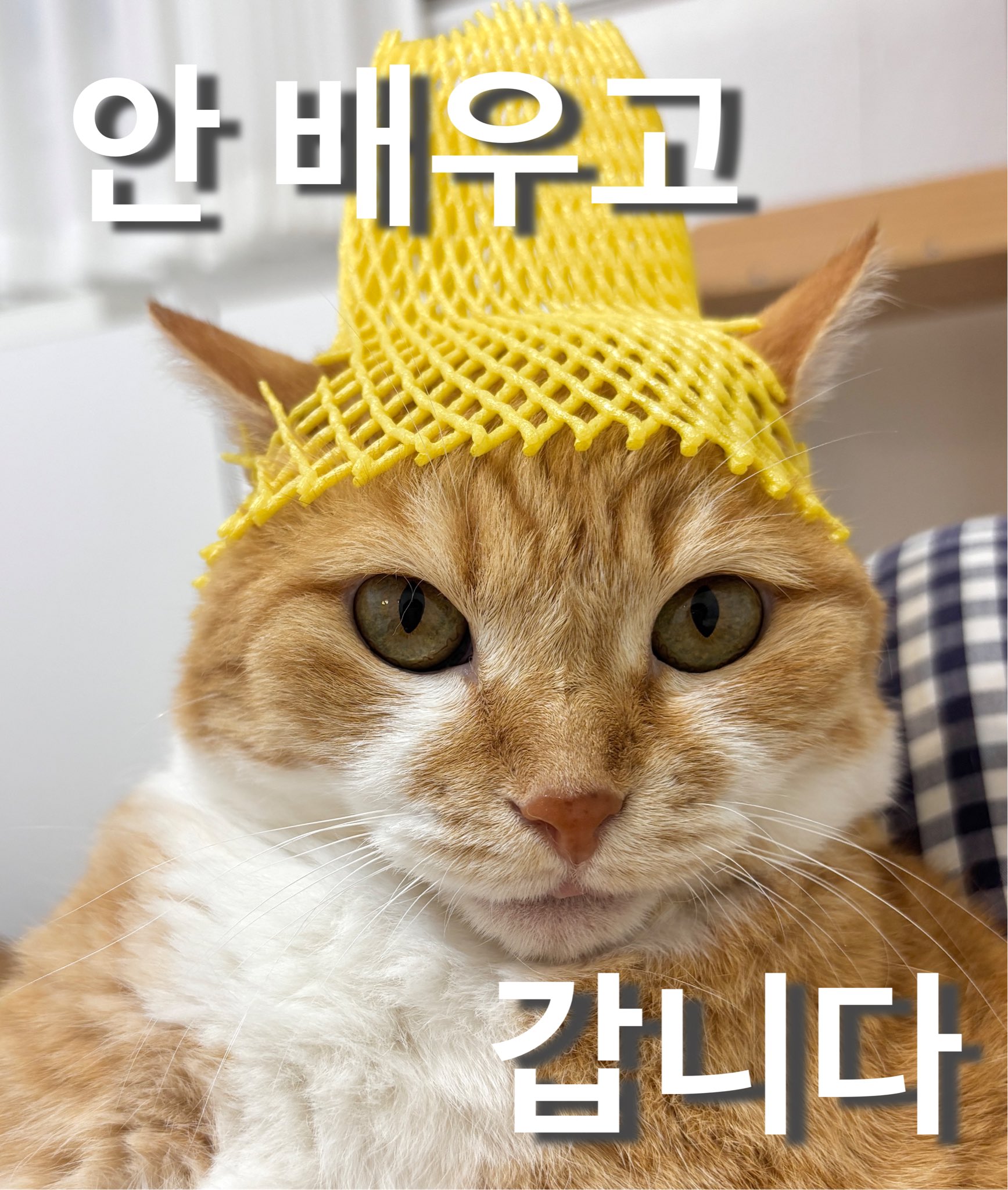 사실 원조가 따로 있다는 버터떡.jpg | 인스티즈