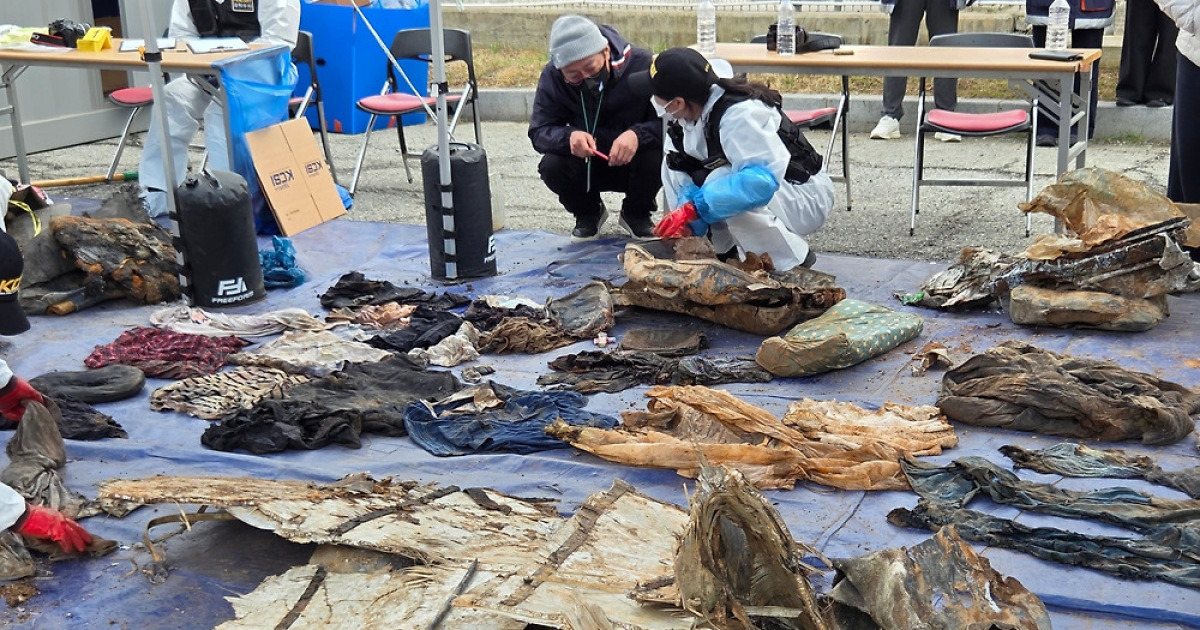 마대자루에서… 무안공항 참사 희생자 추정 유해 24점 추가 발견 | 인스티즈