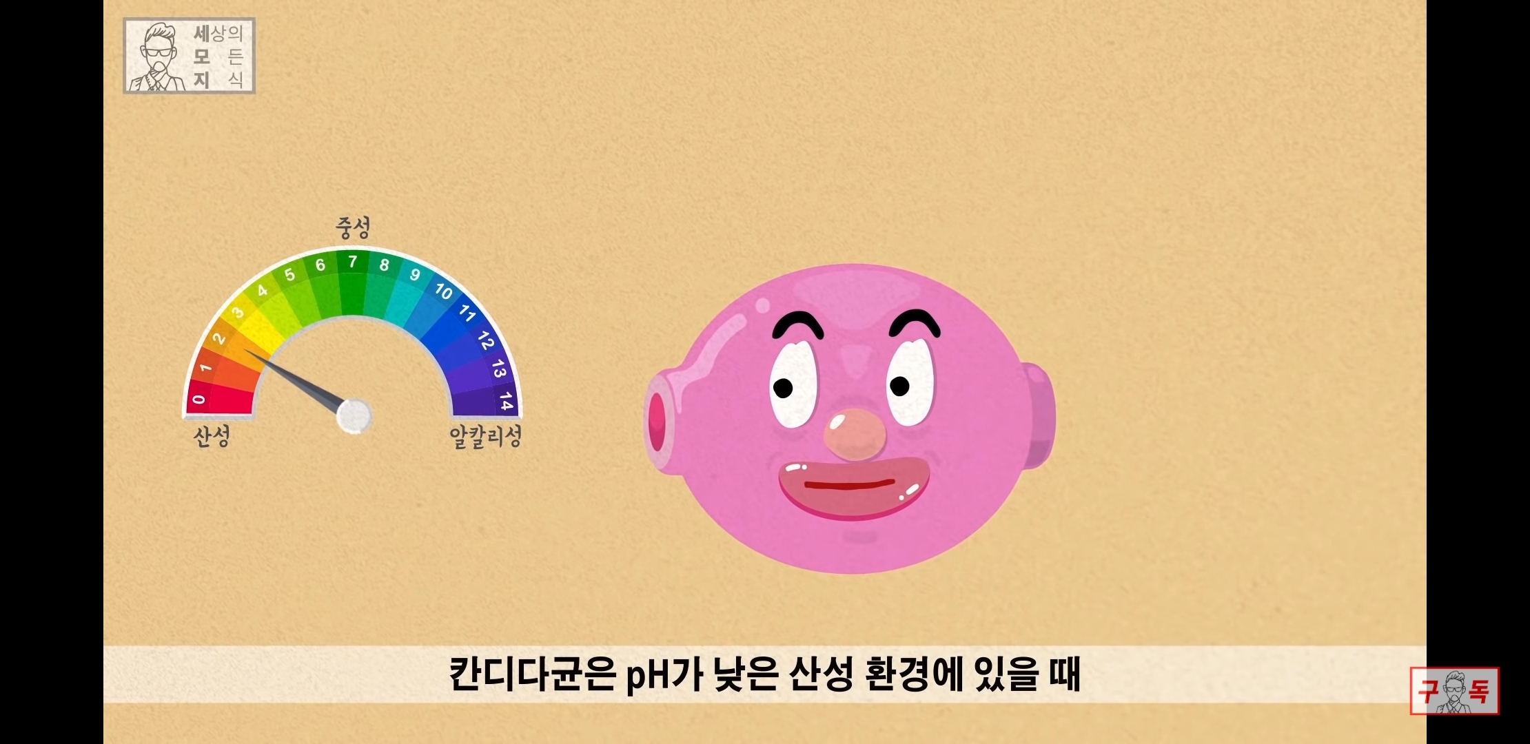 칸디다균의 원리 😠😡🤬 | 인스티즈