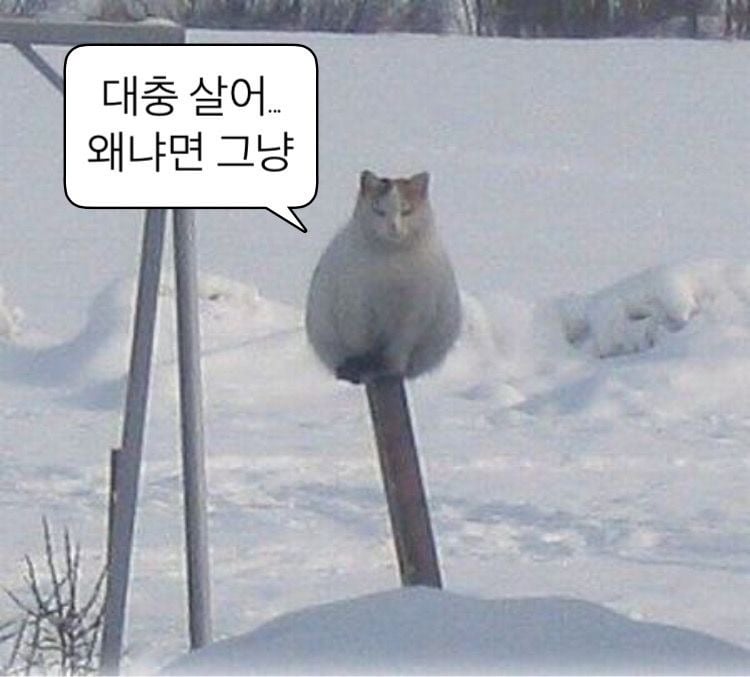이성애가 사랑의 싸구려버전이고 이유가 외모 따짐 + 얘 아니어도 괜찮아 라는 기저 때문인 달글 | 인스티즈