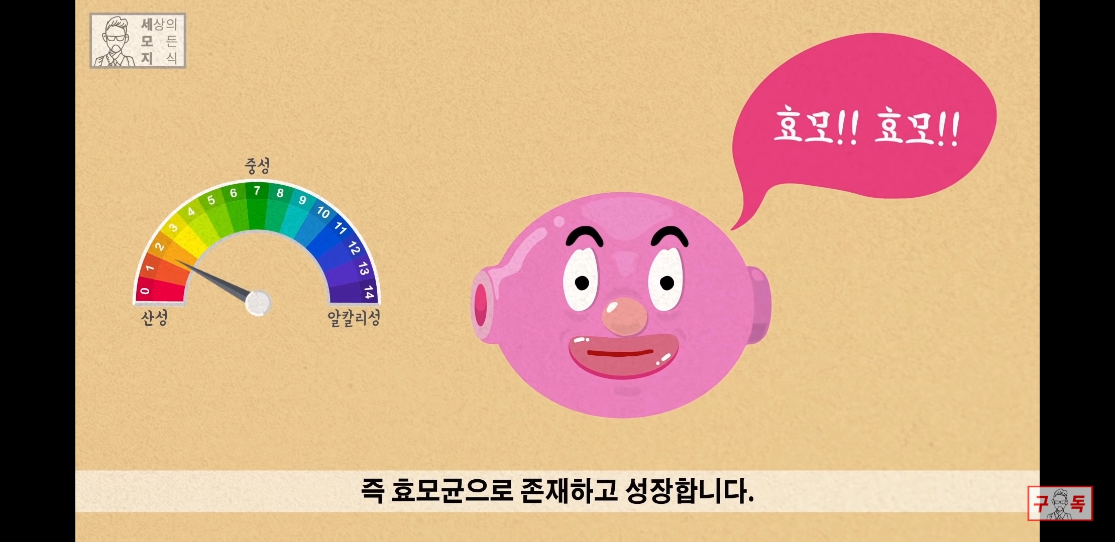 칸디다균의 원리 😠😡🤬 | 인스티즈