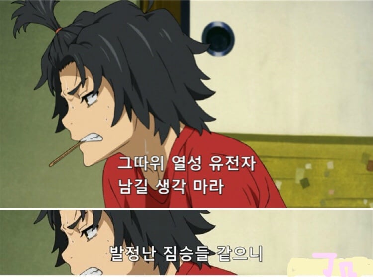 [너의이름은] 과 비슷한 느낌을 주는 명작 애니 (로리주의) | 인스티즈