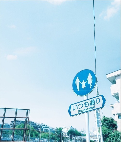  따뜻한 분위기의 일본의 봄 vs 시원하고 청량감있는 일본의 여름 | 인스티즈