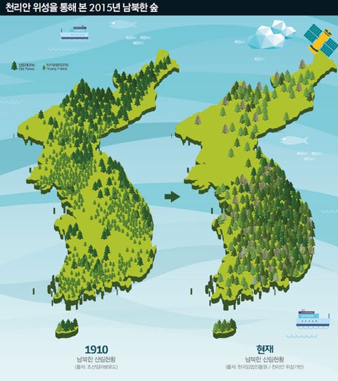 북한 나무 초토화.jpg | 인스티즈