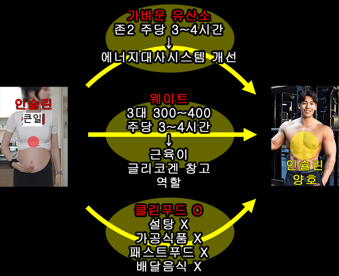 중2도 이해하는 마른비만 인슐린 | 인스티즈