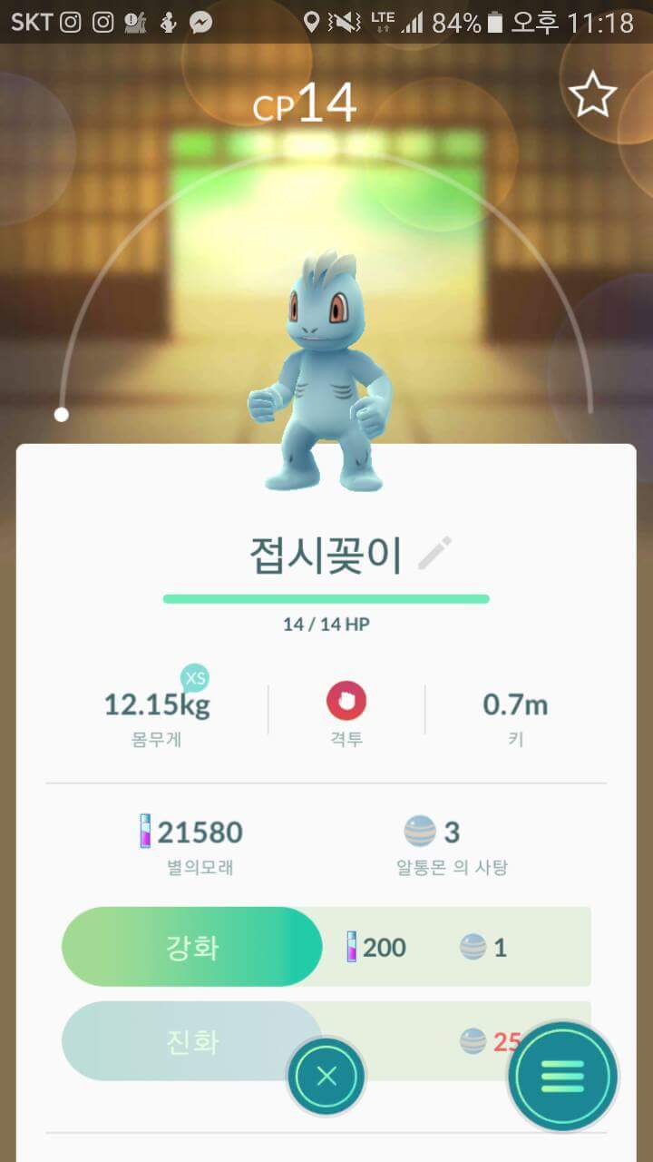 포켓몬고 흔한 포켓몬들의 작명 | 인스티즈