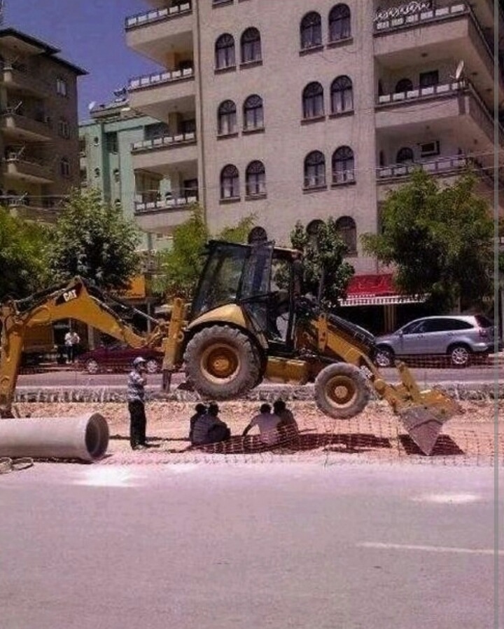 개나 고양이나 사람이나... | 인스티즈