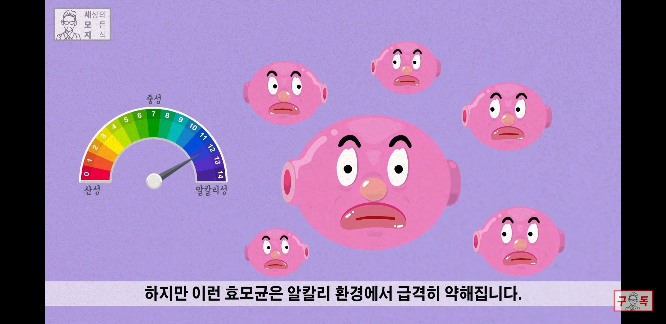 칸디다균의 원리 😠😡🤬 | 인스티즈