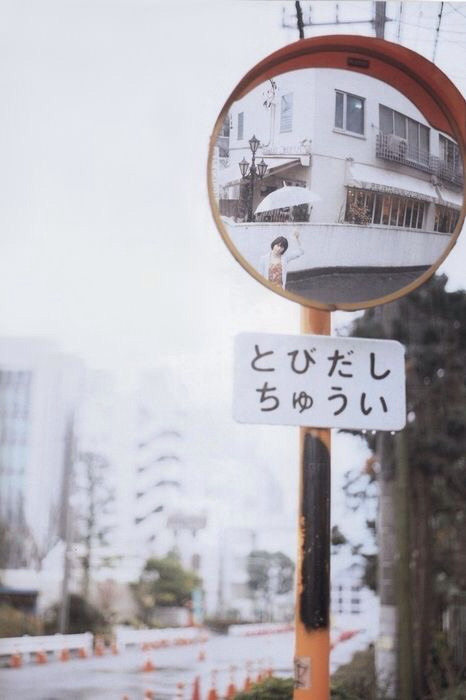  따뜻한 분위기의 일본의 봄 vs 시원하고 청량감있는 일본의 여름 | 인스티즈