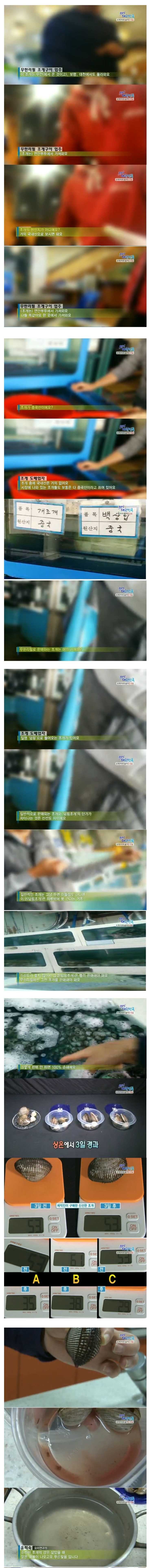무한리필 조개구이의 진실 | 인스티즈