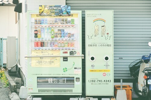  따뜻한 분위기의 일본의 봄 vs 시원하고 청량감있는 일본의 여름 | 인스티즈