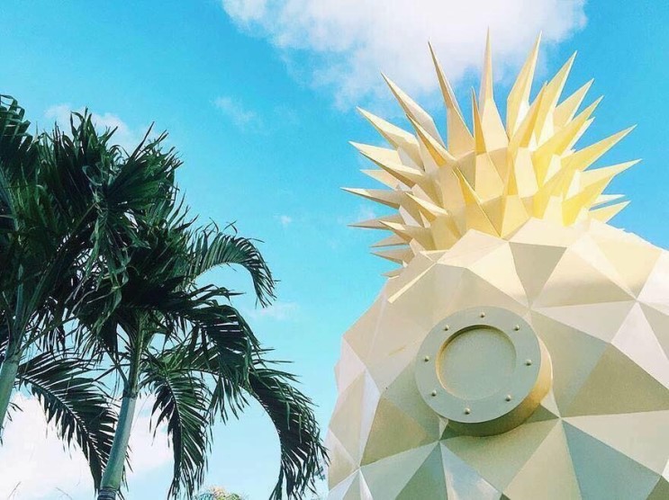 스폰지밥 '파인애플 집' 테마로 만든 리조트.jpg | 인스티즈