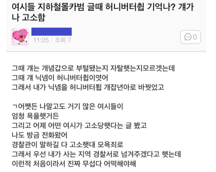 이쯤에서 다시보는 인생은 실전이야 여시 고소사건 | 인스티즈