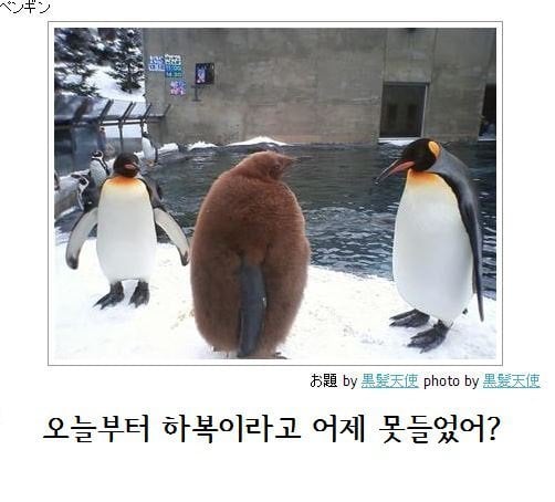 제목학원 레전드 모음.jpg ㅋㅋㅋㅋㅋㅋㅋㅋㅋㅋㅋㅋㅋㅋㅋ | 인스티즈