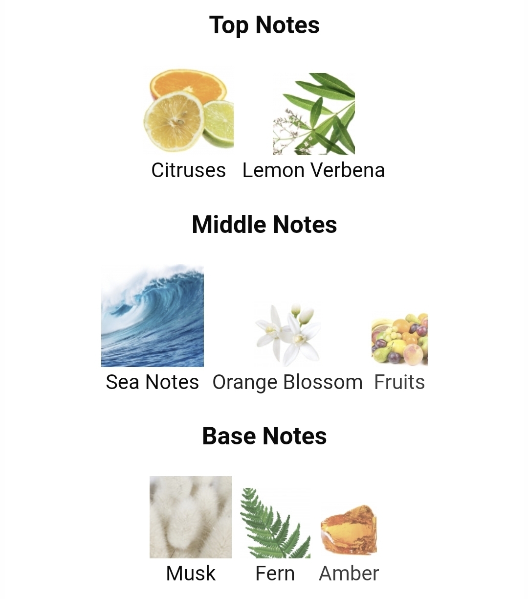 비누향으로 유명한 향수들.jpg | 인스티즈