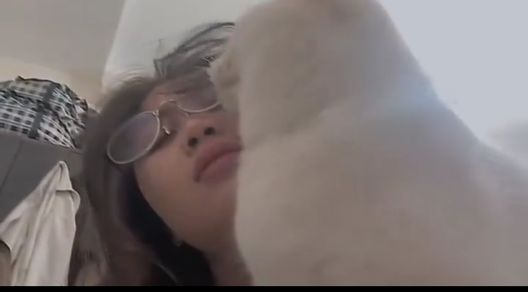 고양이한테 과한 관심을 받고 있는 집사 | 인스티즈