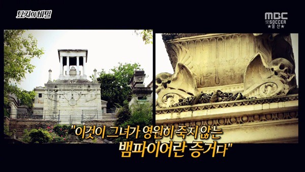  1년만 하면 270억 받는거 도전 한다vs안한다 | 인스티즈