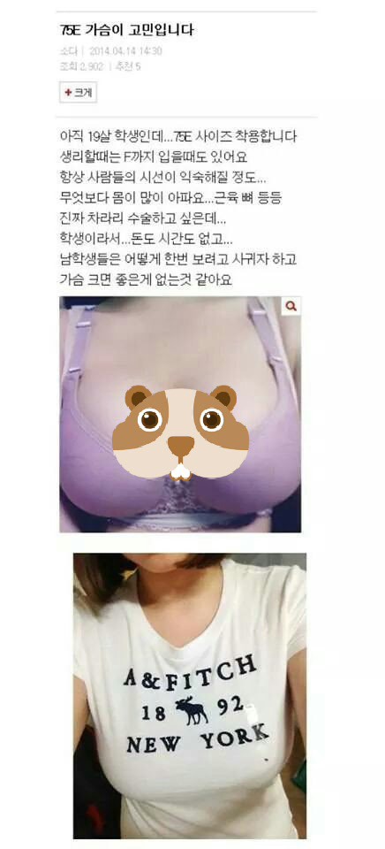 75E컵 가슴이 고민인 여자.JPG | 인스티즈