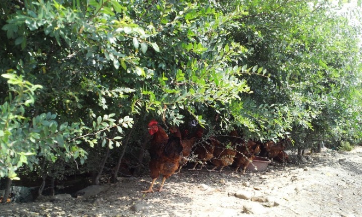 개나 고양이나 사람이나... | 인스티즈