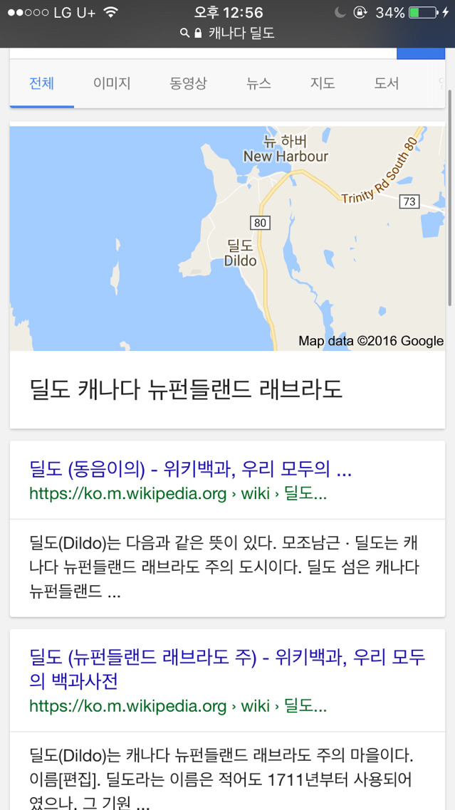 캐나다 딜도 | 인스티즈