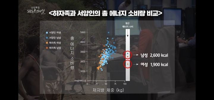 운동량을 아무리 늘려도 처음처럼 살 안빠지는 이유 (다이어트의 역설) | 인스티즈