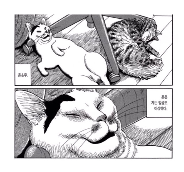 이토 준지 트레이싱 의혹.jpg | 인스티즈