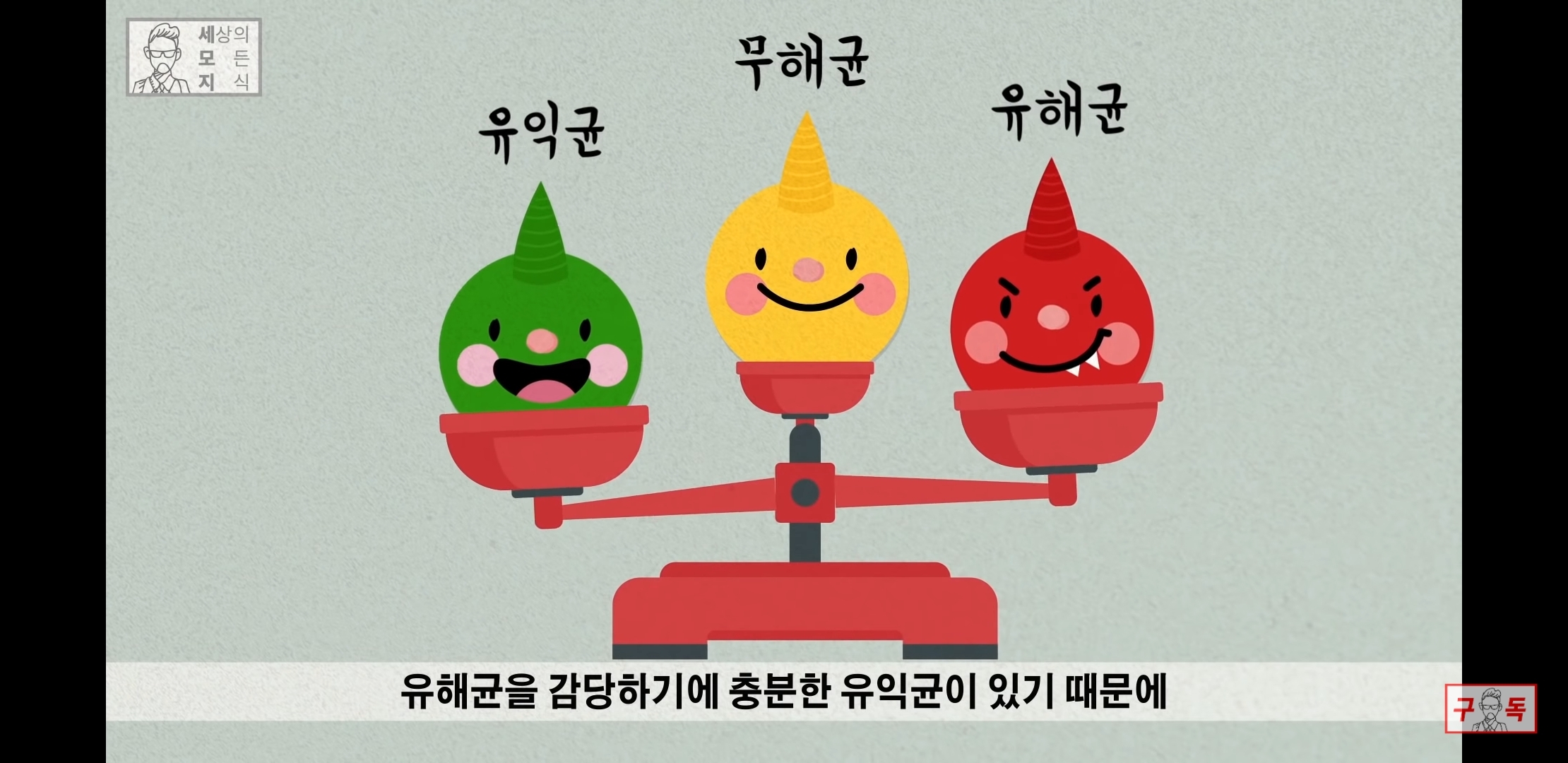 칸디다균의 원리 😠😡🤬 | 인스티즈