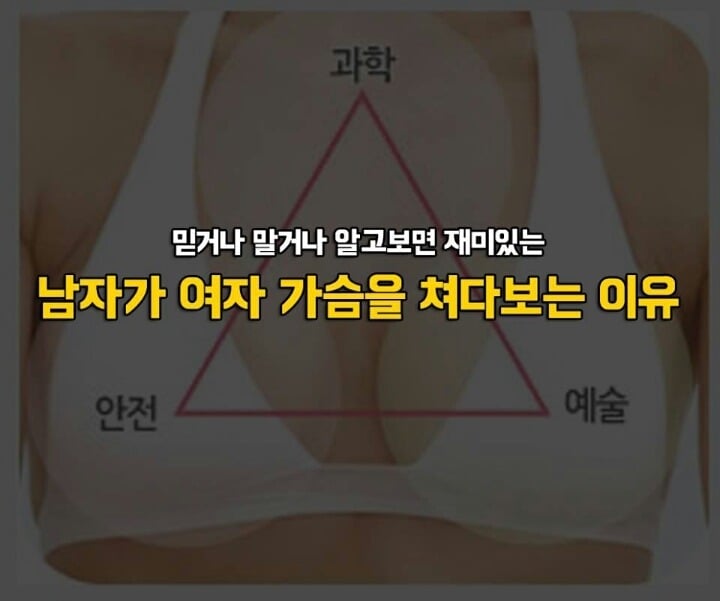 남자가 여자가슴을 쳐다보는 이유.jpg | 인스티즈