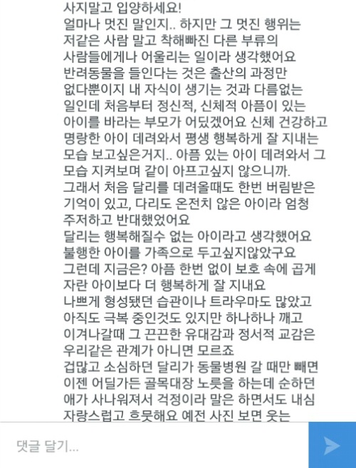 유기견에서 스타강아지가 되기까지 달리의 변화모습 | 인스티즈