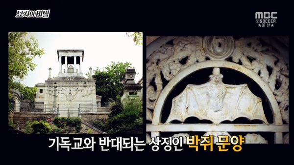  1년만 하면 270억 받는거 도전 한다vs안한다 | 인스티즈