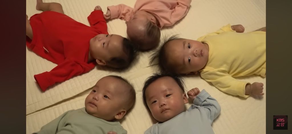 태어나서 처음으로 완전체가 된 다섯 쌍둥이 👶🏻 | 인스티즈