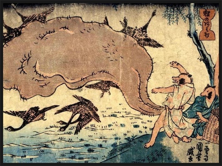 일본 미디어에 등장하는 너구리는 왜 랄부가 클까? | 인스티즈