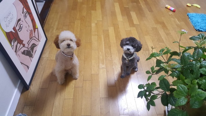 집에 인터넷 설치 기사님 오셨는데.... | 인스티즈