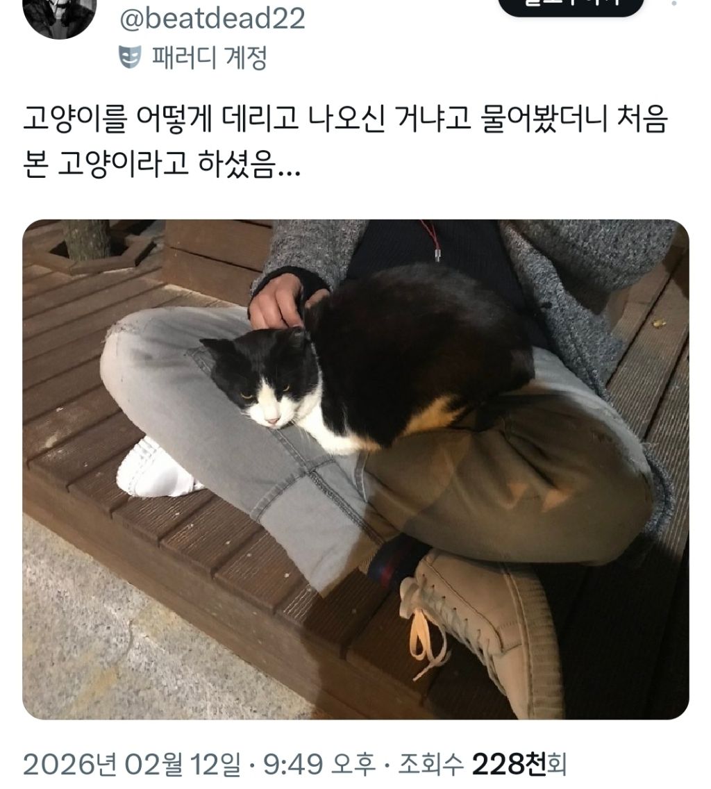 고양이 어떻게 데리고 나오신 거에요? | 인스티즈