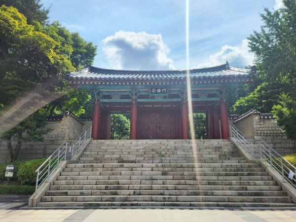 진짜 미쳐버린 남미새의 도시 | 인스티즈