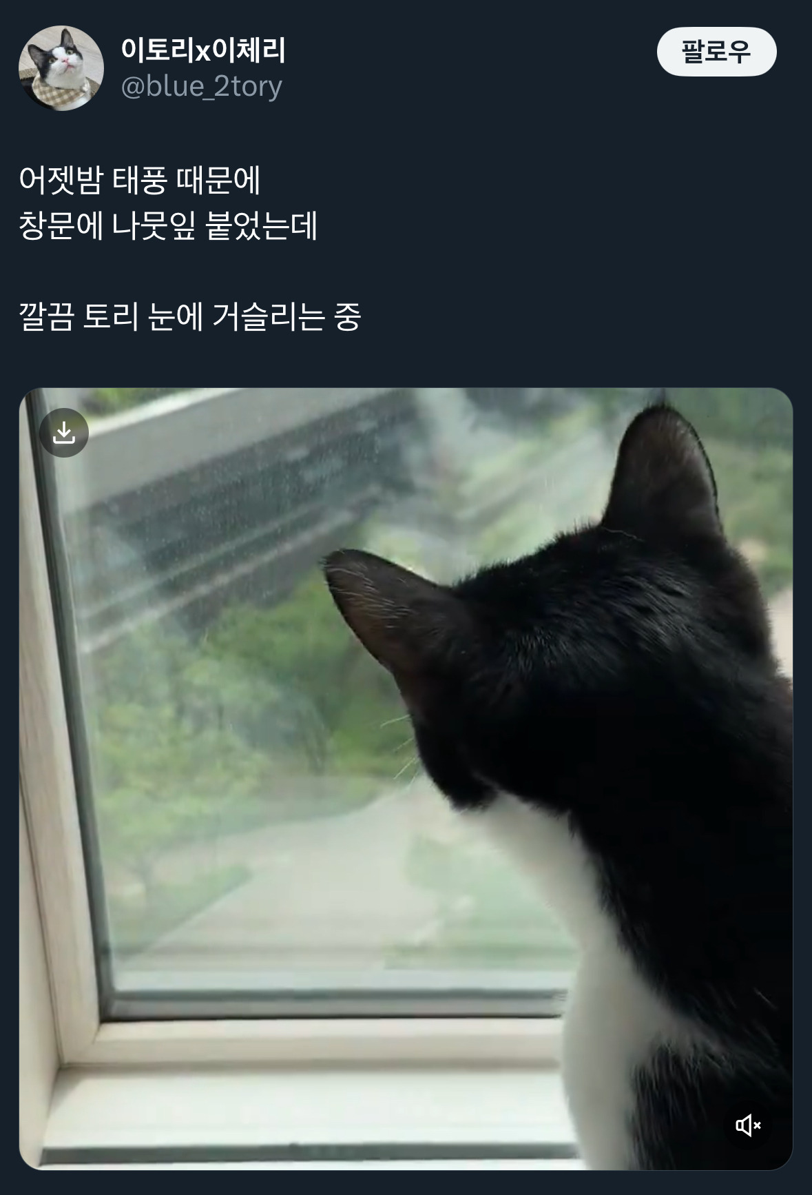 날씨좋~은 때에 보는 트위터 모음🍁 | 인스티즈