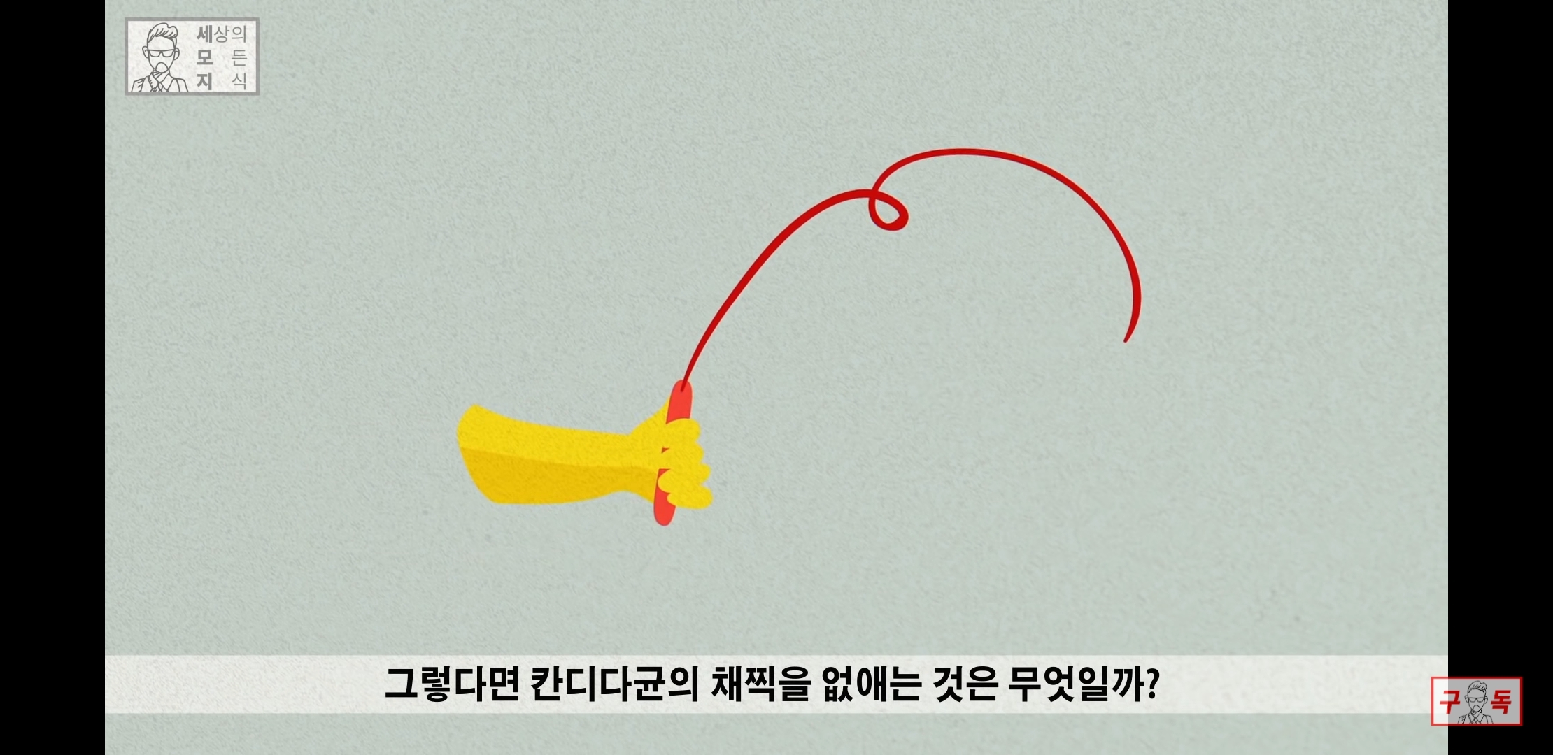 칸디다균의 원리 😠😡🤬 | 인스티즈