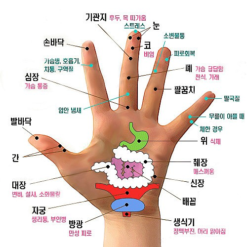 암완치한 사람으로써 암은 이렇게 걸리는것같다.txt | 인스티즈