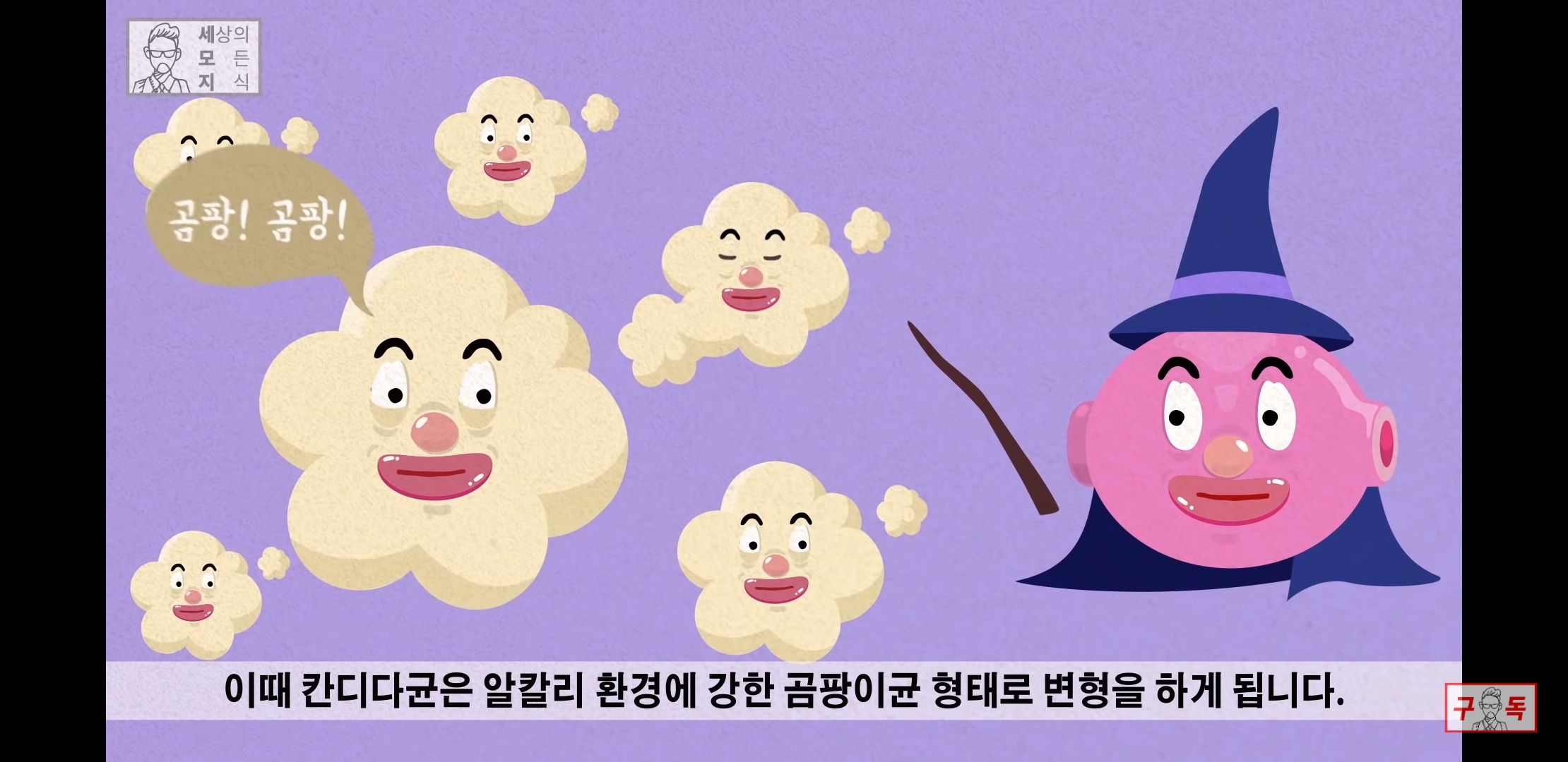 칸디다균의 원리 😠😡🤬 | 인스티즈