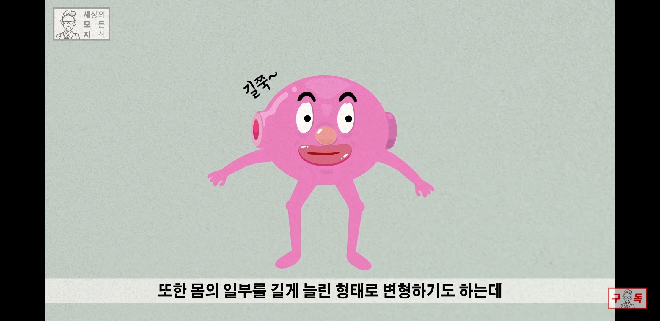 칸디다균의 원리 😠😡🤬 | 인스티즈