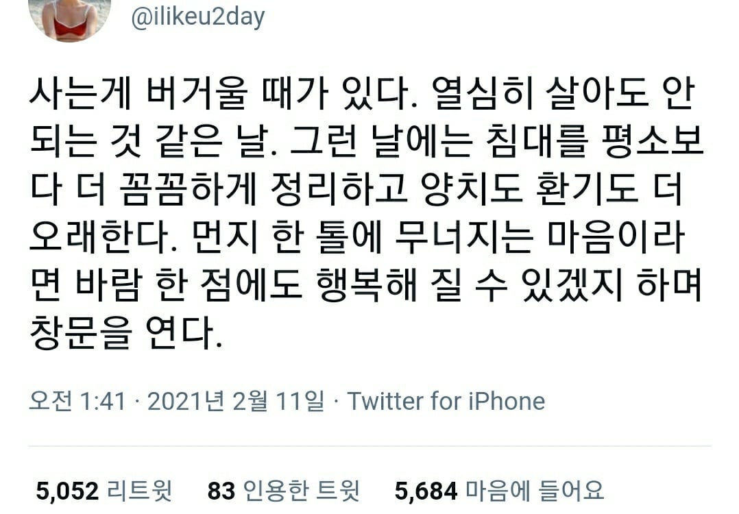 그냥 해. 안되면 울어. 그리고 다시 해.twt (feat. 캡처) | 인스티즈