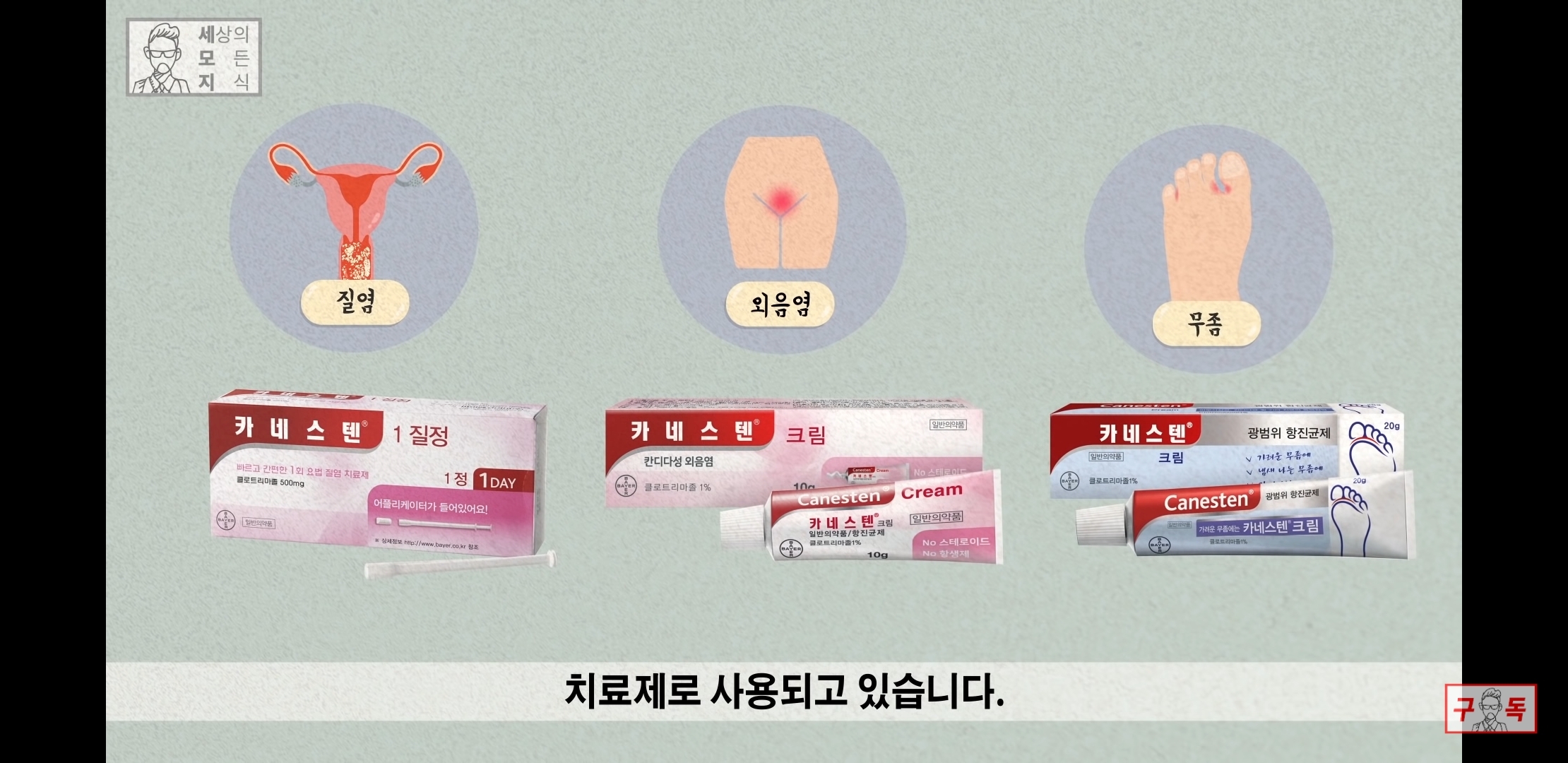 칸디다균의 원리 😠😡🤬 | 인스티즈