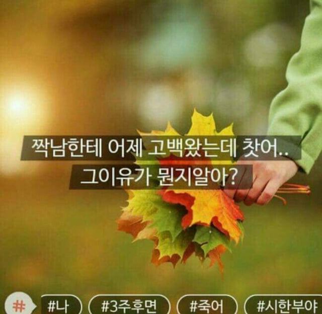 모씨 대환장쇼 모음(손발 너프주의) | 인스티즈