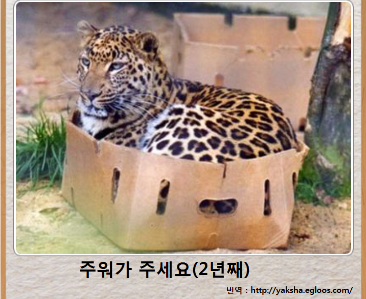 제목학원 레전드 모음.jpg ㅋㅋㅋㅋㅋㅋㅋㅋㅋㅋㅋㅋㅋㅋㅋ | 인스티즈