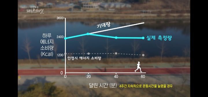 운동량을 아무리 늘려도 처음처럼 살 안빠지는 이유 (다이어트의 역설) | 인스티즈