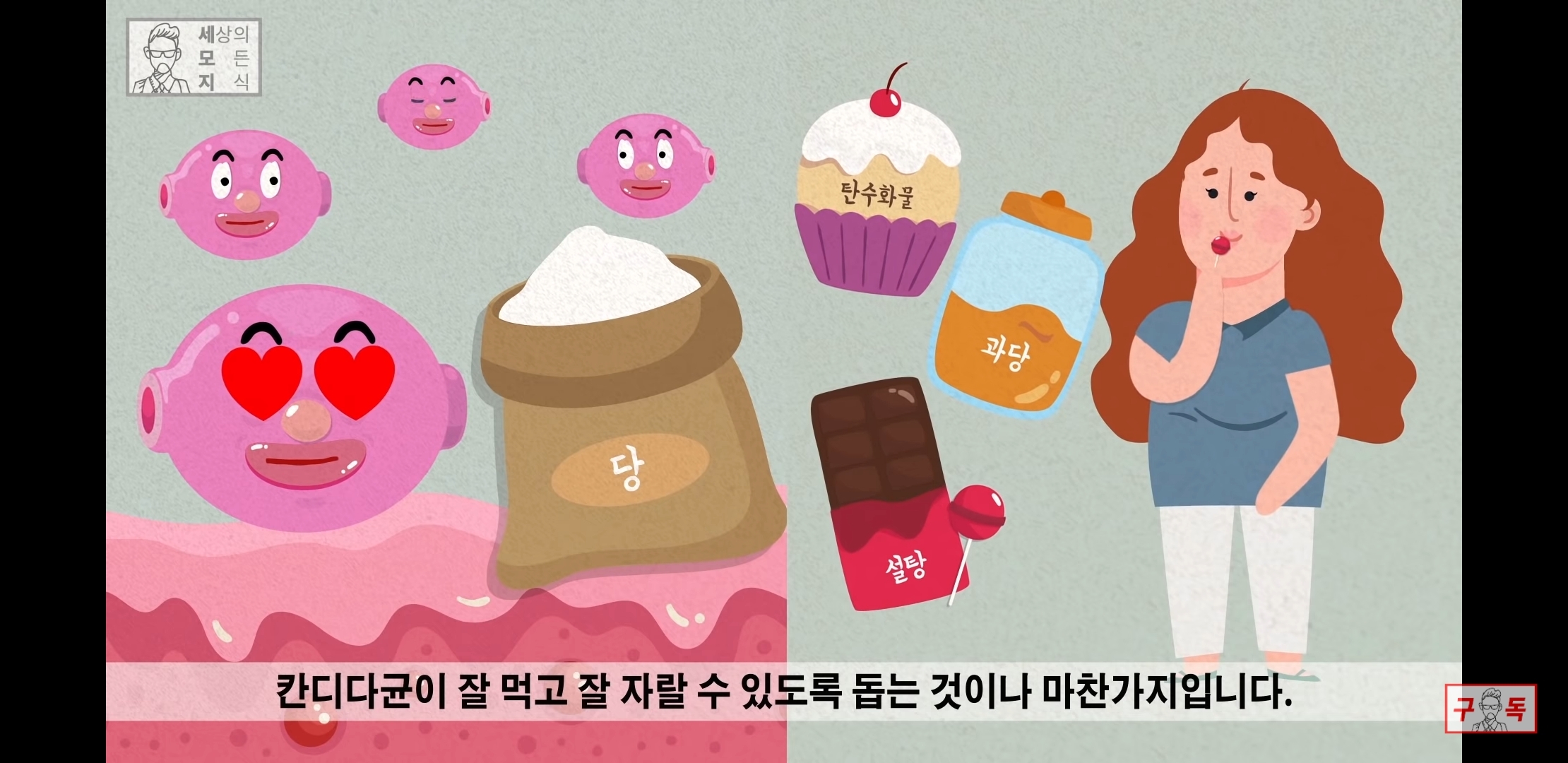 칸디다균의 원리 😠😡🤬 | 인스티즈