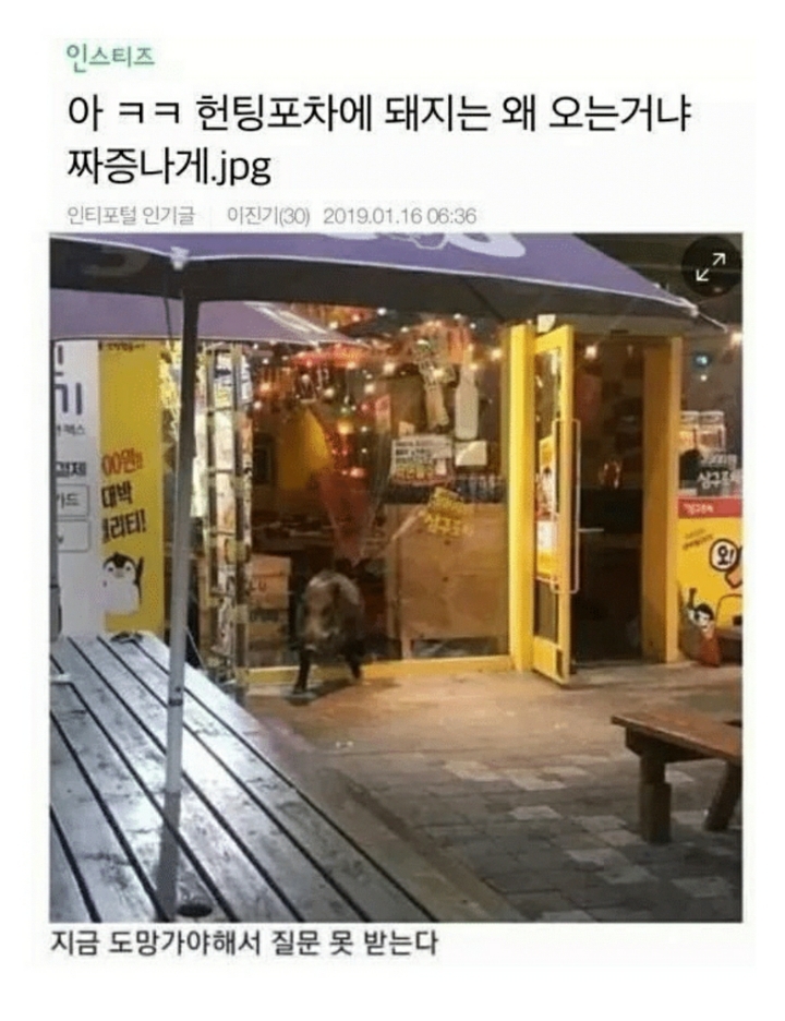 아ㅋㅋ 헌팅포차에 돼지는 왜 오는거냐 짜증나게.jpg | 인스티즈